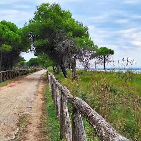 Airy With Balcony-beahost Lejlighed